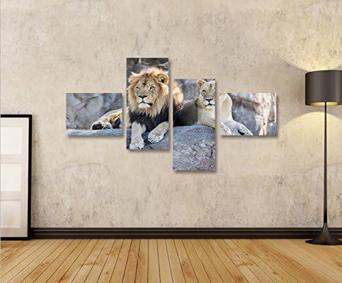 islandburner Bild Bilder auf Leinwand Löwen Paar V2 4L XXL Poster Leinwandbild Wandbild Dekoartikel