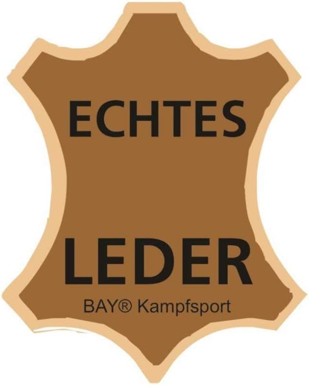 BAY Sports Leder Thai TECH 2020 Arm-Pratzen, Handpratzen, Armschlagpolster, vorgekrümmt, schwarz, Pr