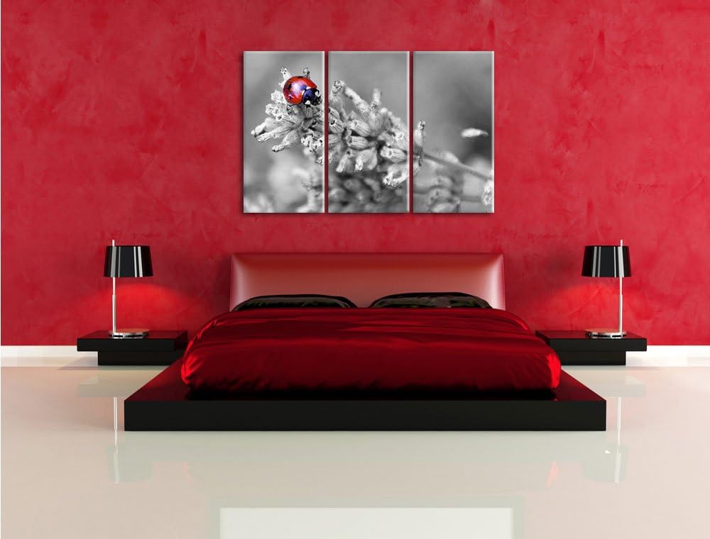 Pixxprint Kleiner Marienkäfer auf Lavendel / 3-Teilig/Gesamtmass 120cm Leinwandbild bespannt auf Hol