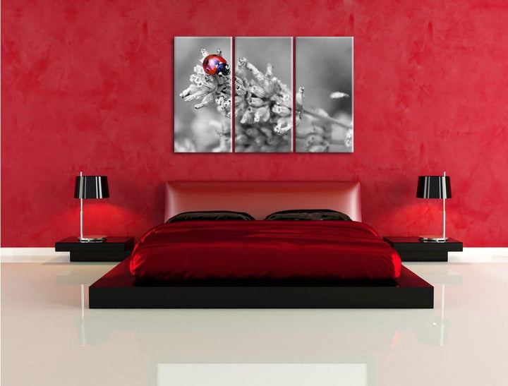 Pixxprint Kleiner Marienkäfer auf Lavendel / 3-Teilig/Gesamtmass 120cm Leinwandbild bespannt auf Hol