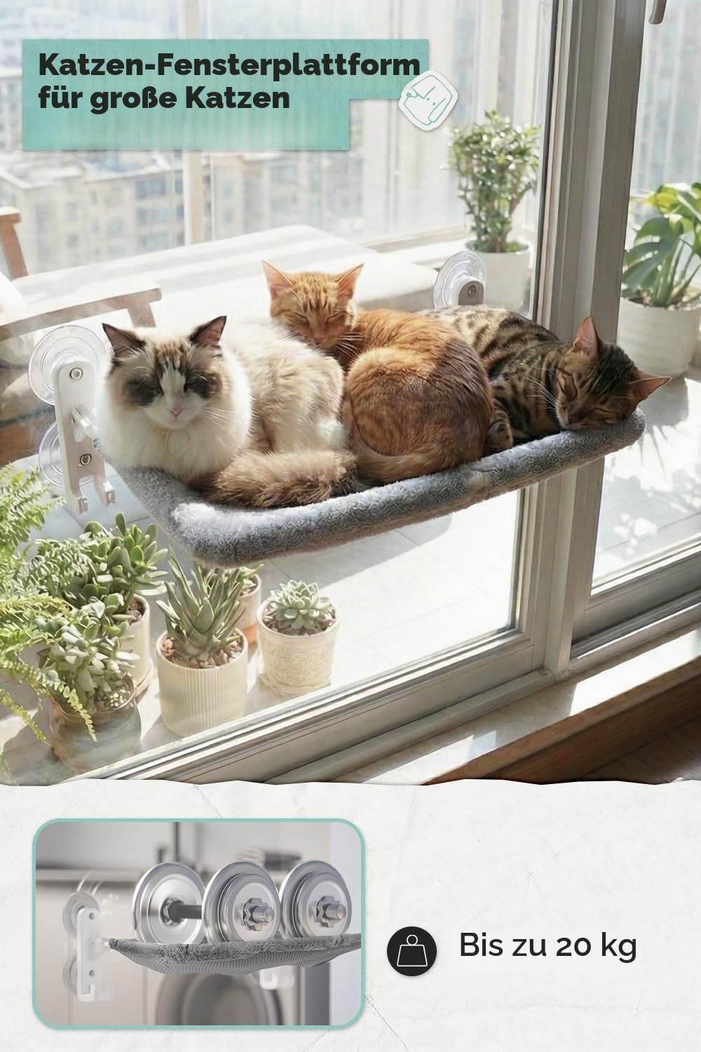 Kabelloser Katzensitz am Fenster f¨¹r gro?e Katzen, Leuchtender Katzensack am Fenster mit Haken-Desi