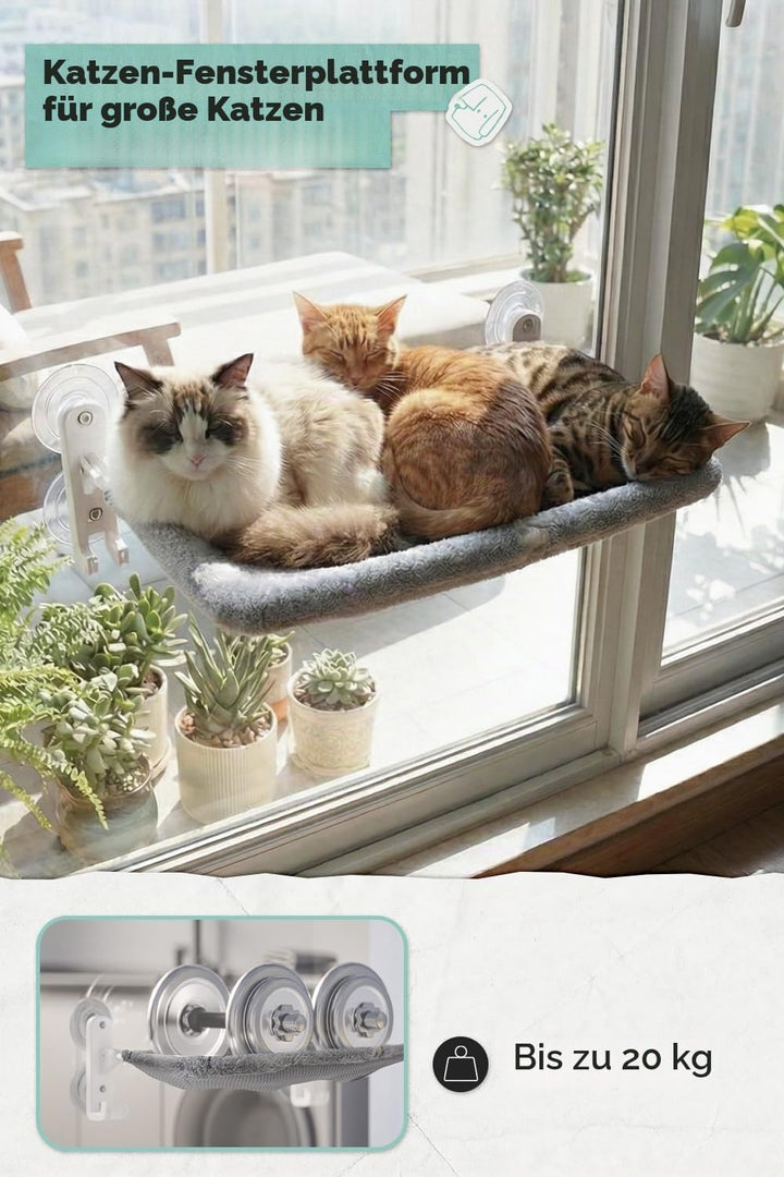 Kabelloser Katzensitz am Fenster f¨¹r gro?e Katzen, Leuchtender Katzensack am Fenster mit Haken-Desi