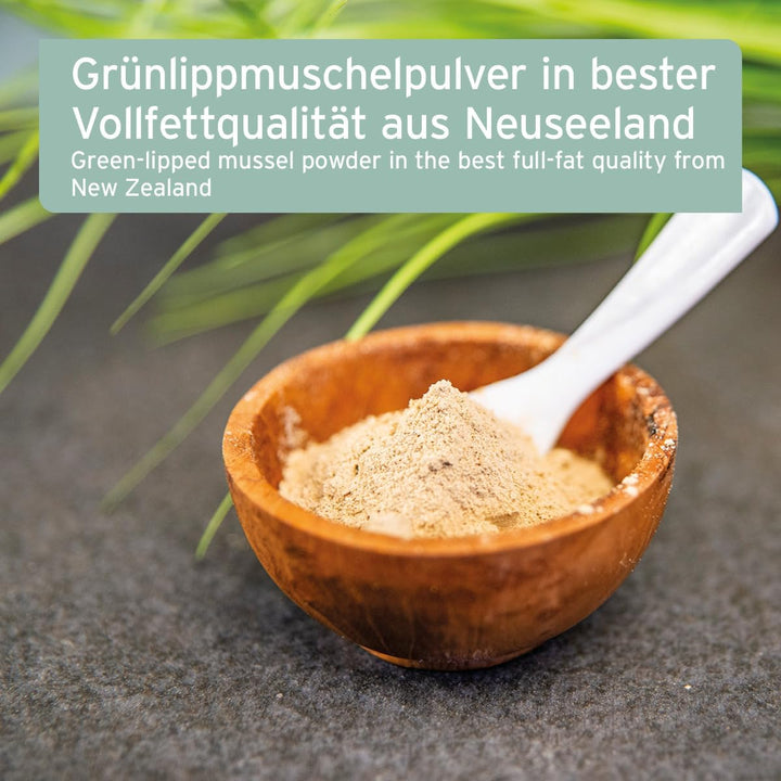 AniForte Grünlippmuschelpulver für Hunde 1kg - Natürliches Grünlippmuschel Pulver in Vollfettqualitä