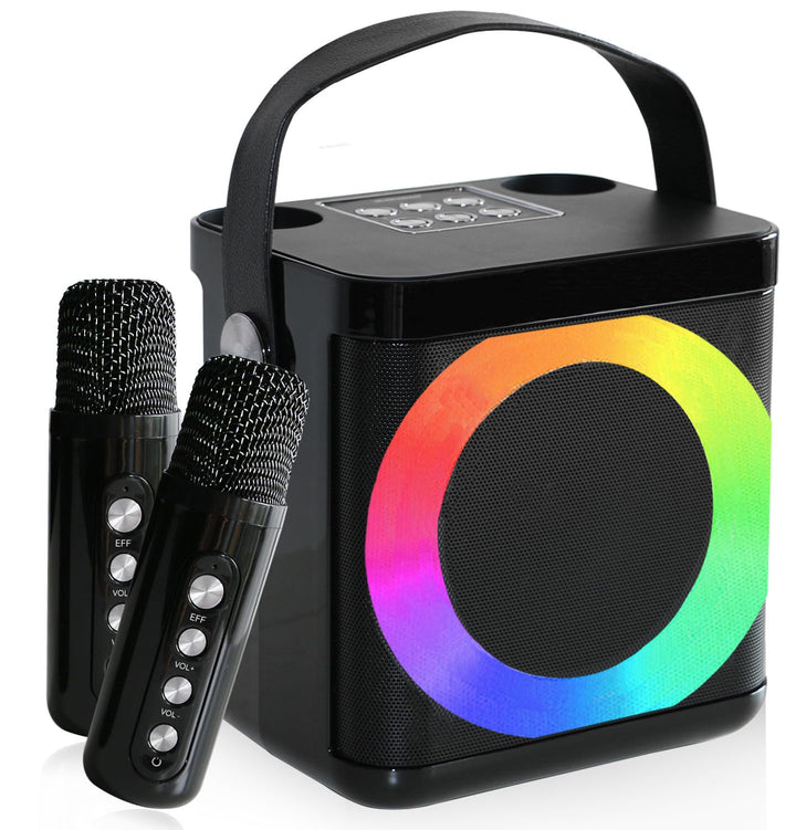 Karaoke Maschine, Karaoke anlage mit 2 mikrofonen,Bluetooth Karaoke Box, musikbox mit mikrofon Karao