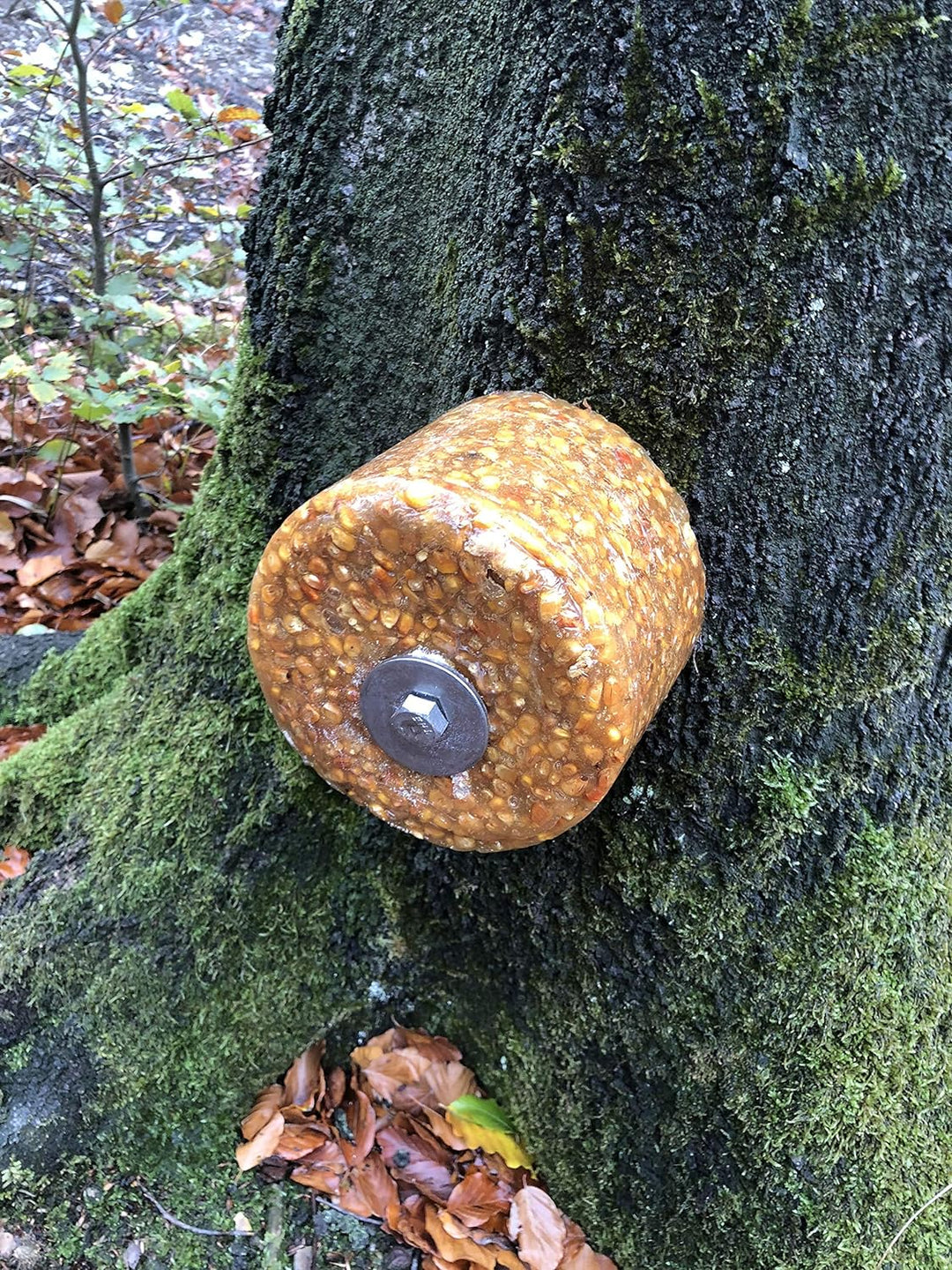 Wildlutscher Spezial Leckstein gerösteter Mais 3 kg (9,97 €/kg)