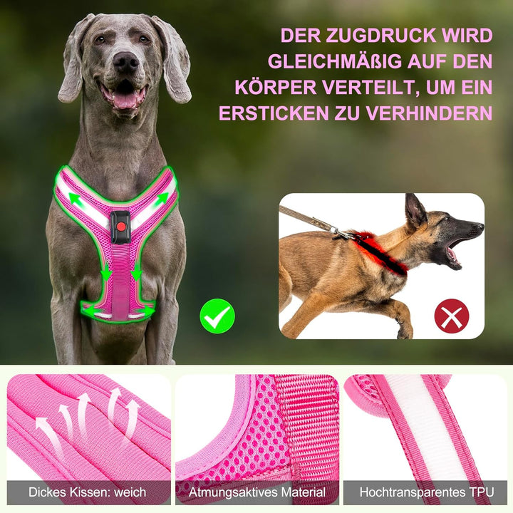 Hundegeschirr Leuchtend, Leuchtgeschirr für Hunde Aufladbar, Leuchtendes Hundegeschirr LED, Leucht G