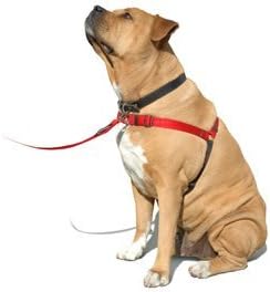 Erziehungsgeschirr für temperamentvolle Hunde – Das SENSEation Harness Erziehungshalsband für Hunde,