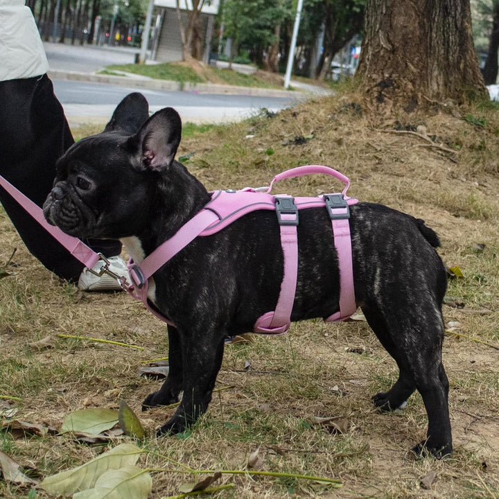 Wuffley Hundegeschirr mit Leine, Sicherheitsgeschirr Hund Ausbruchsicher, Anti Zug Hundegeschirr mit