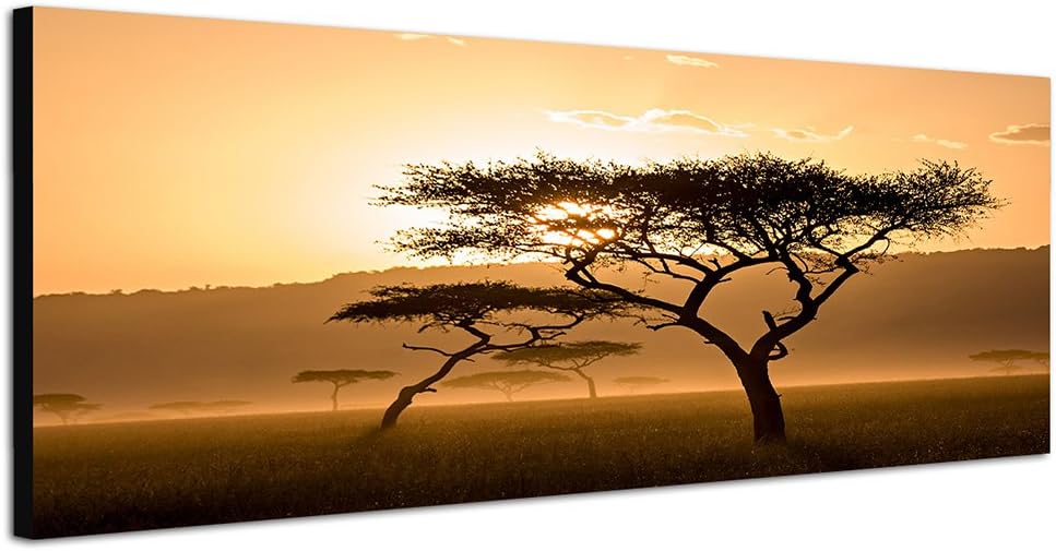 Paul Sinus Art Panoramabild auf Leinwand und Keilrahmen 150x50cm Kenia Wiese Bäume Dunst Sonnenunter
