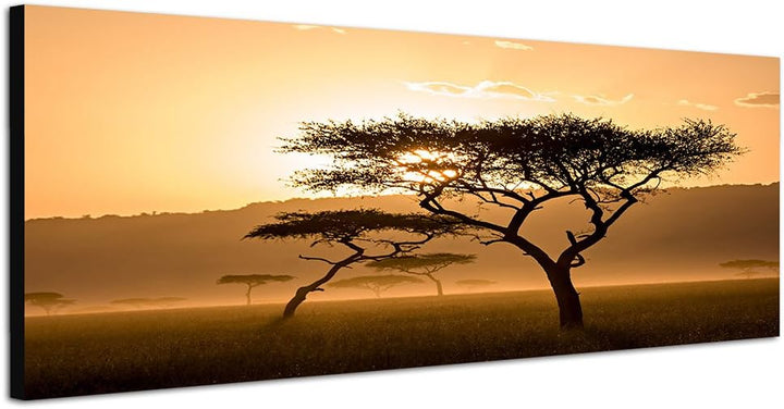 Paul Sinus Art Panoramabild auf Leinwand und Keilrahmen 150x50cm Kenia Wiese Bäume Dunst Sonnenunter