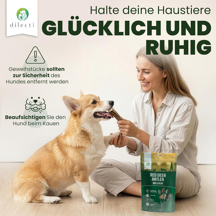 Dilecti Geweih für Hunde - Natürliche, robuste und nahrhafte Kauartikel aus Hundegeweih. Reich an Pr