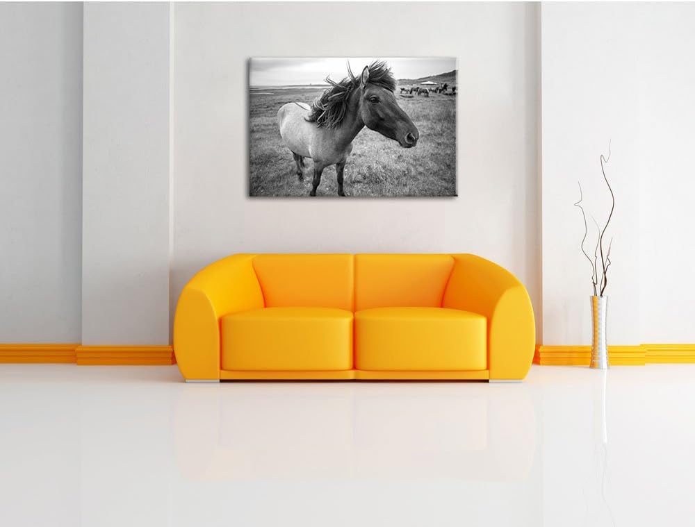 Isländer Pferde in der Wildnis / 100x70cm Leinwandbild bespannt auf Holzrahmen/Wandbild Kunstdruck D