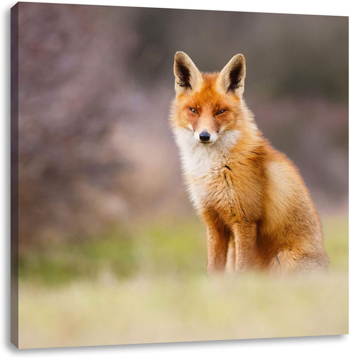 Pixxprint Listiger Fuchs, Format: 70x70 auf Leinwand, XXL riesige Bilder fertig gerahmt mit Keilrahm