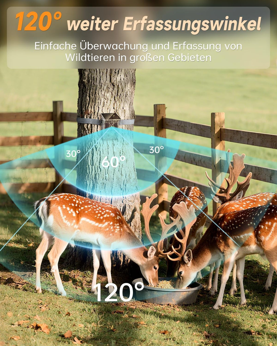 Rollei Wildkamera 4K WiFi Solar, 48MP 4K Wildtierkamera mit Handyübertragung App & Bewegungsmelder N