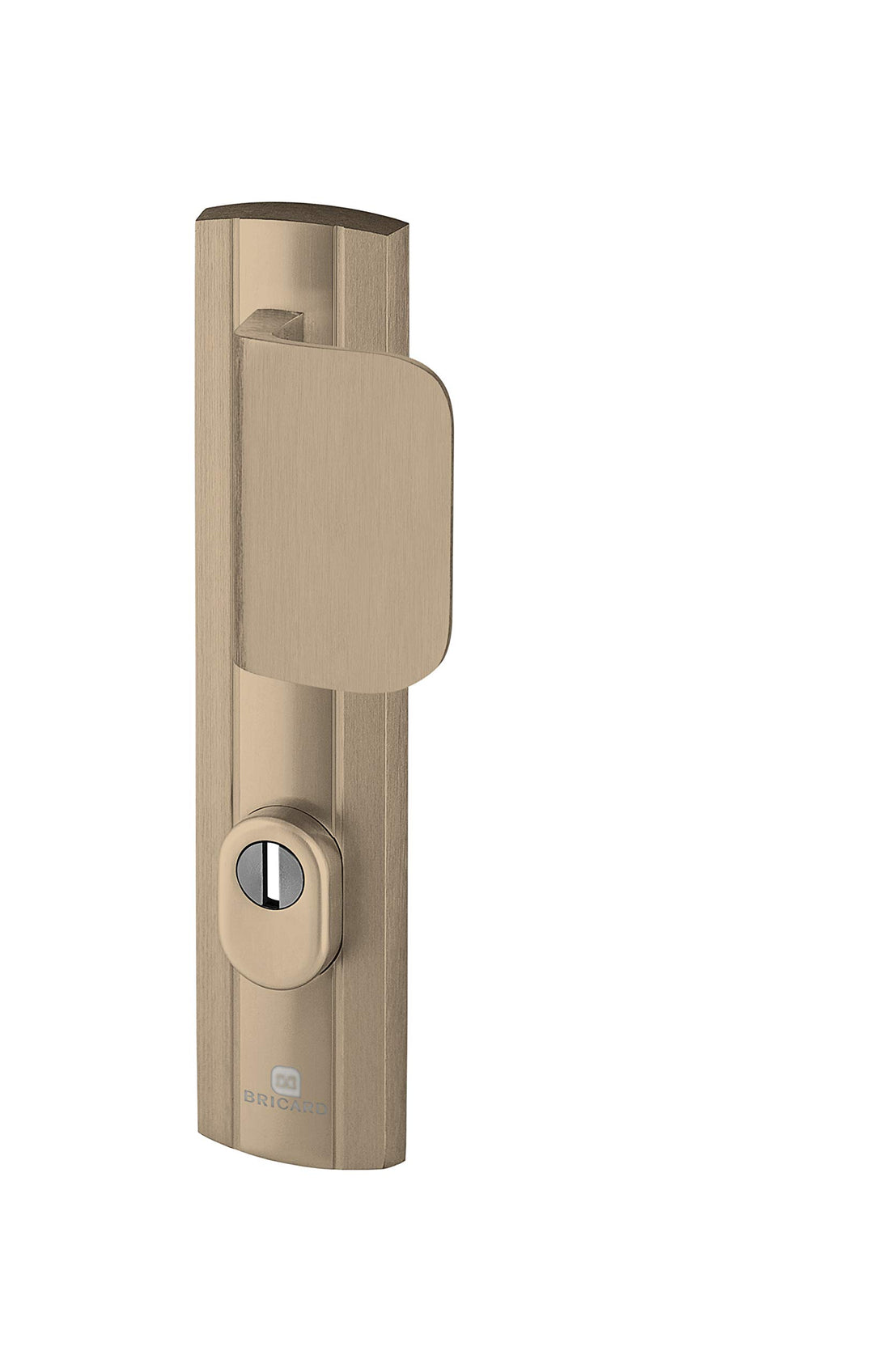 Bricard 9910091 Türgriff-Set, abgeschirmt, auf Expressionsplatte + Spoiler, für Eingangstür, Bernste