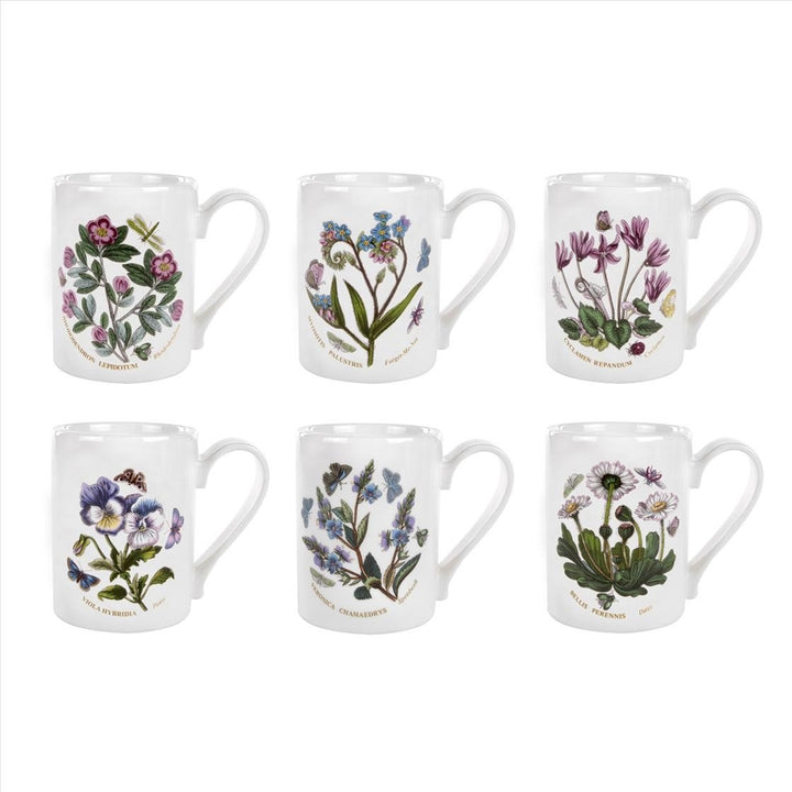 Portmeirion Botanic Garden Kaffeetasse, 295 ml