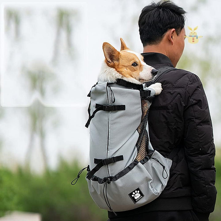 Woolala Transportrucksack für Hunde, Rucksack mit wasserdichtem Futter, kleine Reisetasche für Wande