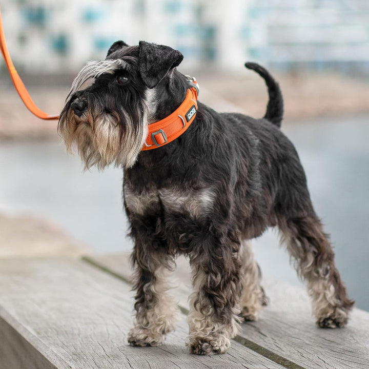 DOG Copenhagen Urban Explorer 3.0 Halsband, Ocean Blue, XS XS Ocean Blue, XS Ocean Blue