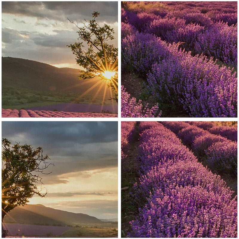 Bilder auf Leinwand Lavendel Berge Feld Leinwandbild mit Rahmen 70x50cm Wandbilder Dekoration Wohnzi