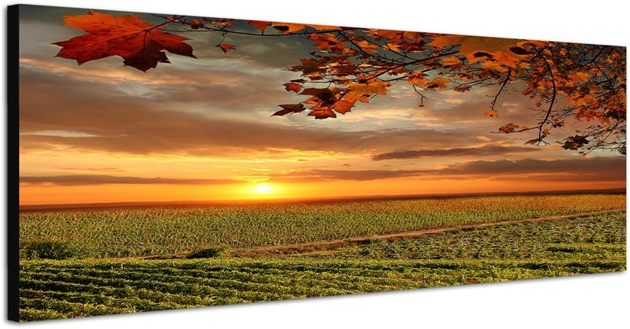 Paul Sinus Art Panoramabild auf Leinwand und Keilrahmen 150x50cm Toskana Weinbaugebiet Sonnenunterga