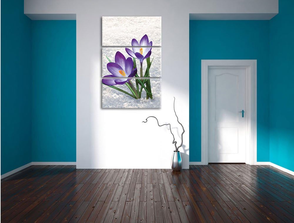 Pixxprint Lila Krokusse im Schnee als Leinwandbild/Grösse: 3 Teilig (120x80) / Wandbild/Kunstdruck/f
