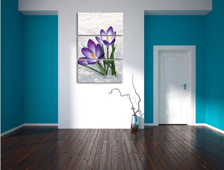 Pixxprint Lila Krokusse im Schnee als Leinwandbild/Grösse: 3 Teilig (120x80) / Wandbild/Kunstdruck/f