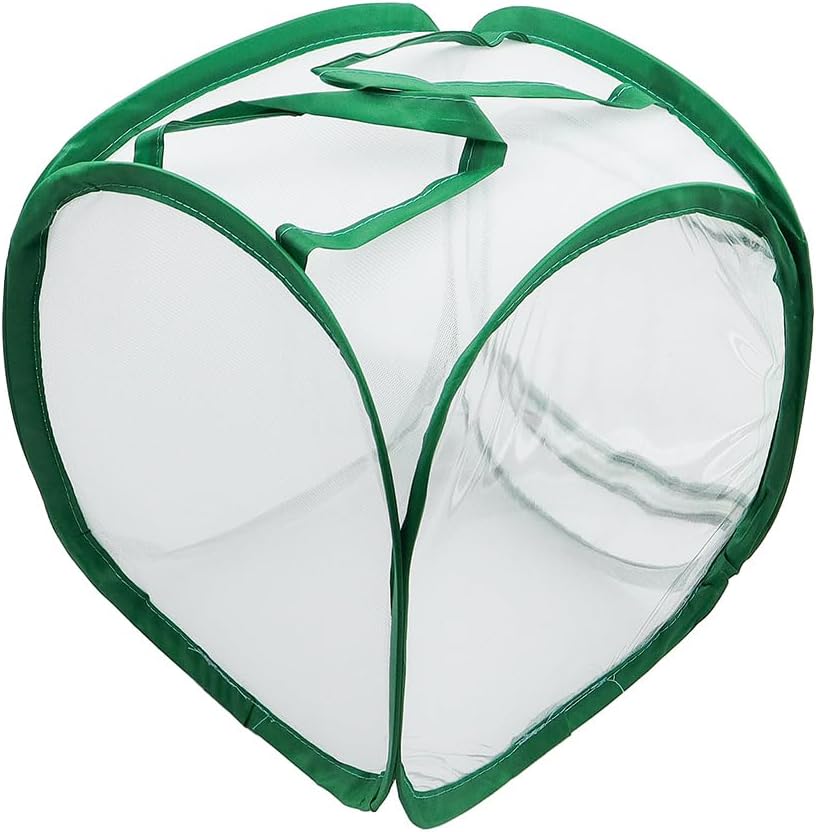 Netzkäfig für Insekten und Schmetterlinge im Garten, transparenter Kleiner Sitzkäfig für Schmetterli