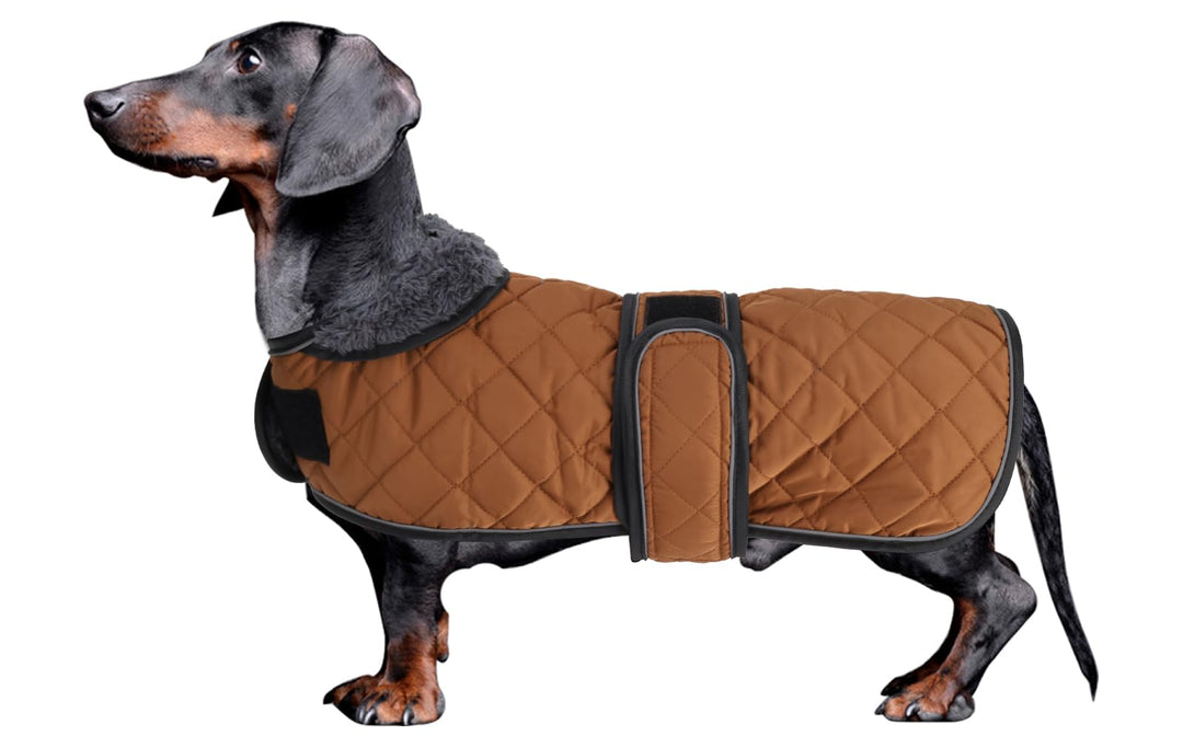 MOREZI Hundemantel Winter für Dackel - Wasserdichter Hunde Pullover mit Wolle Futter &amp; Verstellbaren