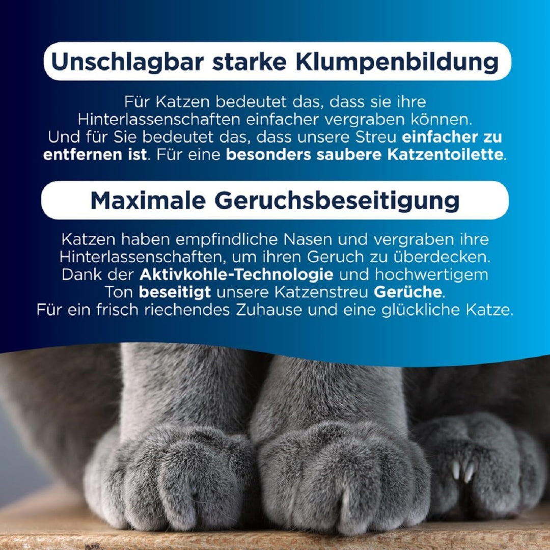 Ever Clean Extrastarkes klumpendes Katzenstreu, 10 Liter, duftstofffrei Unscented 10L, Unscented 10L
