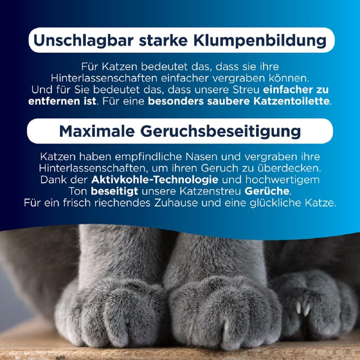 Ever Clean Extrastarkes klumpendes Katzenstreu, 10 Liter, duftstofffrei Unscented 10L, Unscented 10L