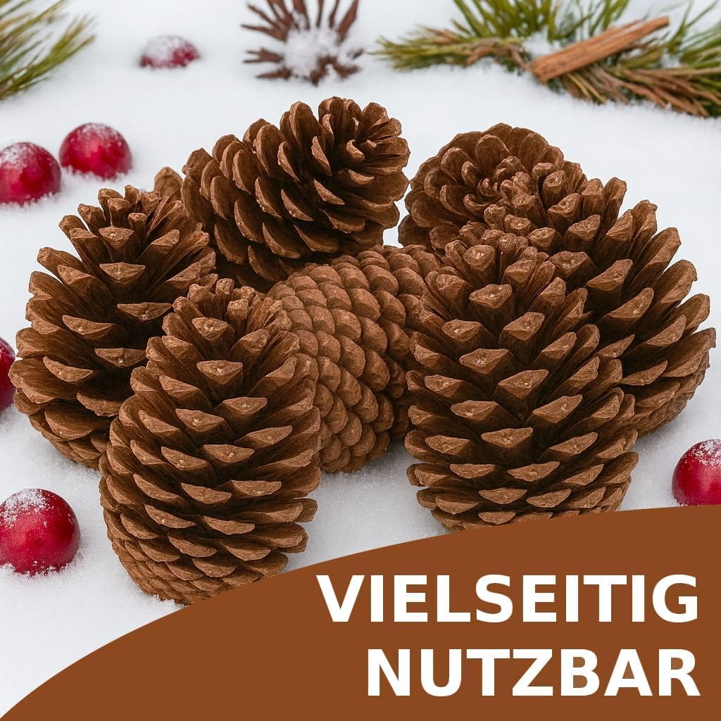 NaDeco Pinus maritima in Natur, 14-18cm, 20 Stück | Grosse Tannenzapfen | Kiefernzapfen | Weihnachts