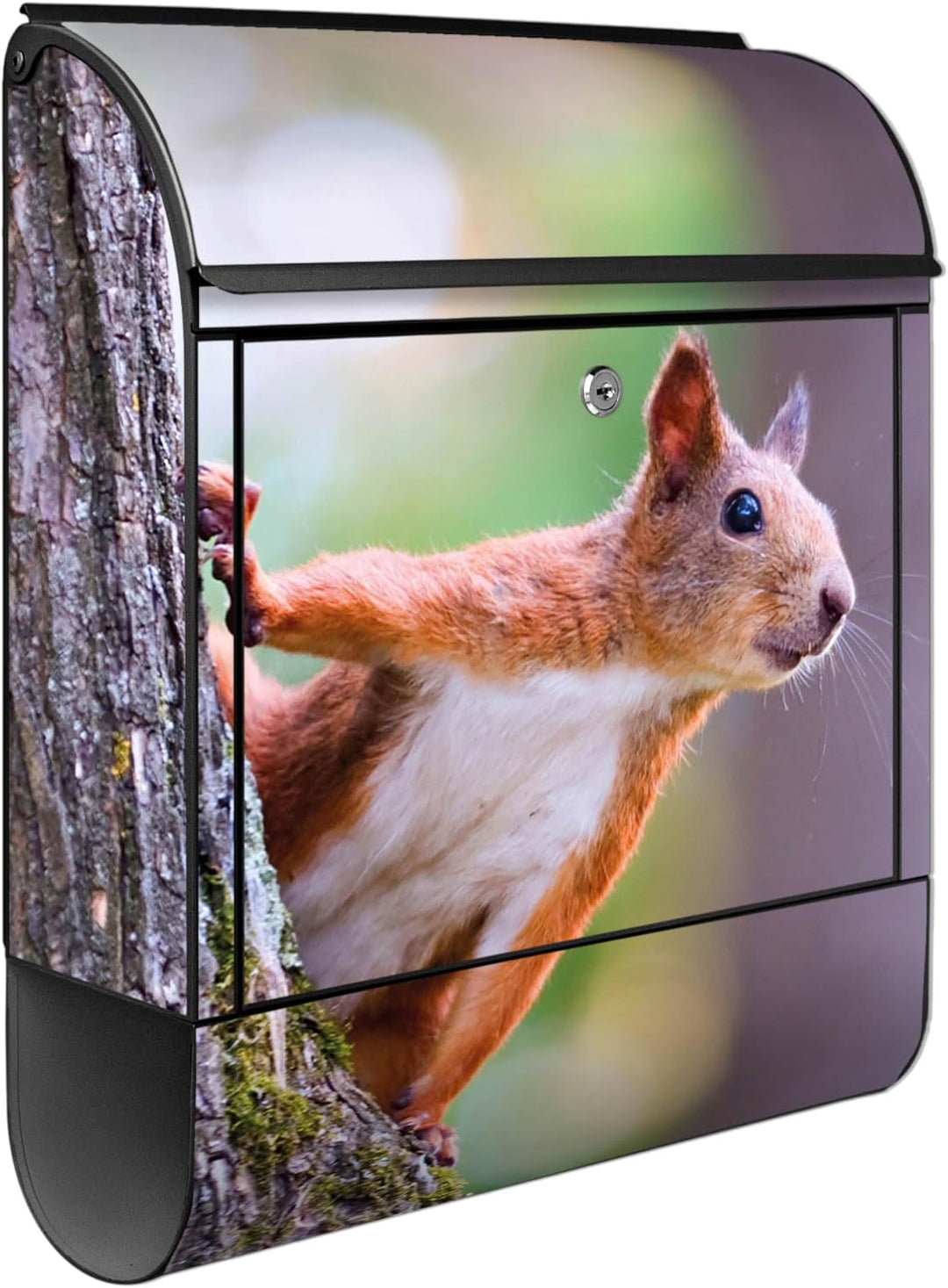 banjado® Design Briefkasten mit Motiv Eichhörnchen 39x47x14cm &amp; 2 Schlüssel - Briefkasten Stahl schw