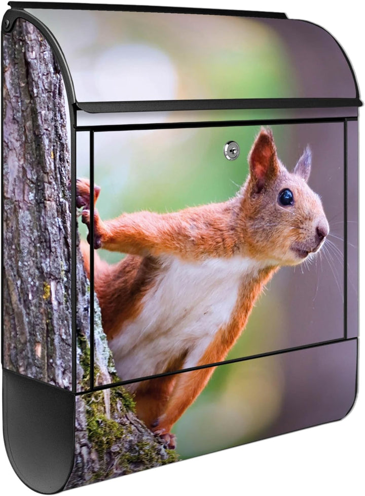 banjado® Design Briefkasten mit Motiv Eichhörnchen 39x47x14cm &amp; 2 Schlüssel - Briefkasten Stahl schw
