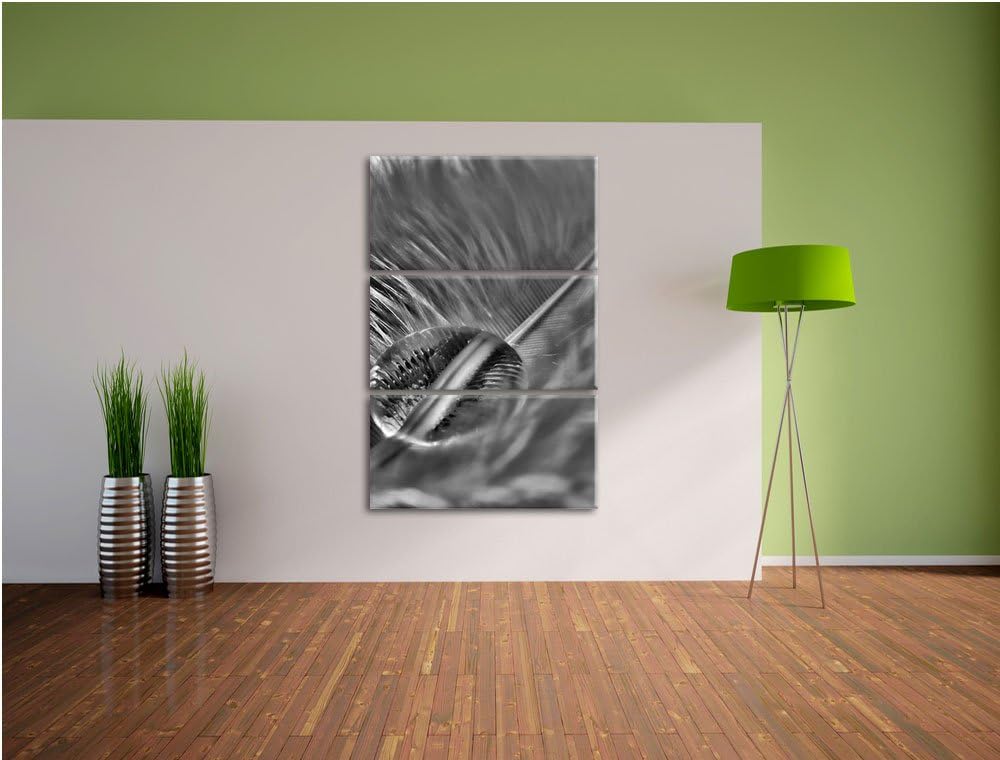Pixxprint Wassertropfen auf Feder als Leinwandbild/Grösse: 3 Teilig (120x80) cm/Wandbild/Kunstdruck/