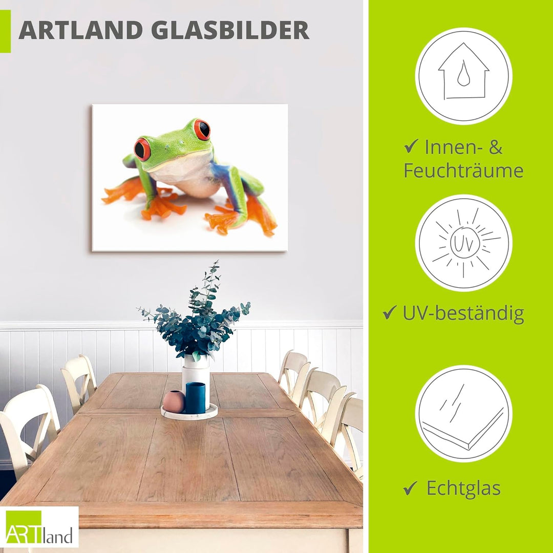 ARTland Glasbilder Wandbild Glas Bild einteilig 60x45 cm Querformat Natur Tiere Amphibien Frosch Lau