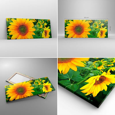 Wandbilder Dekoration Wohnzimmer Wolken Sonnenblumen Plantagen Panorama Bilder auf Leinwand 120x50cm