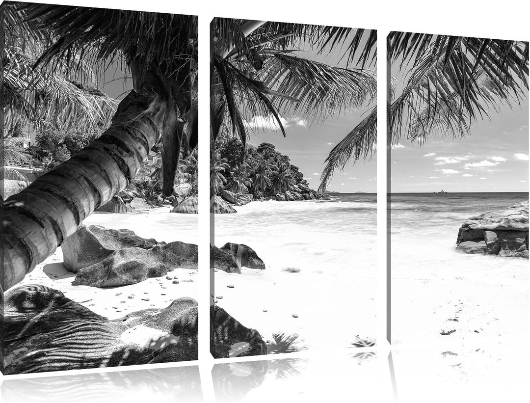 Pixxprint Palmenstrand Seychellen Kunst B&W / 3-Teilig/Gesamtmass 120cm Leinwandbild bespannt auf Ho