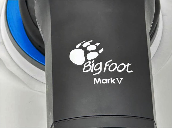 RUPES BigFoot Exzenter-Poliermaschine, 15 mm, Leistung 500 Watt, Klett-Schleifteller 125 mm, Karosse