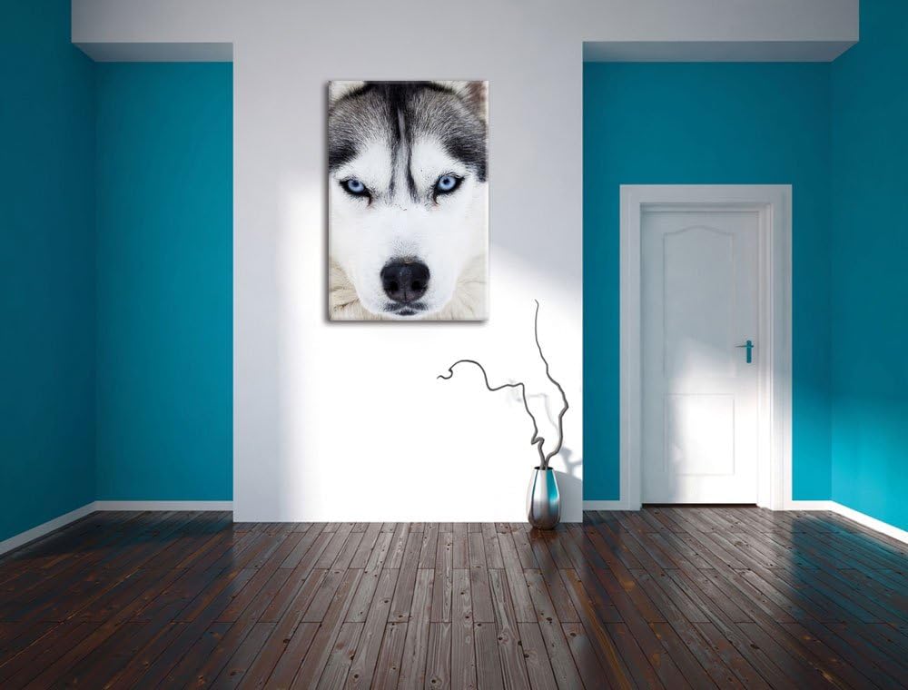 Pixxprint Husky, Format: 100x70 auf Leinwand, XXL riesige Bilder fertig gerahmt mit Keilrahmen, Kuns