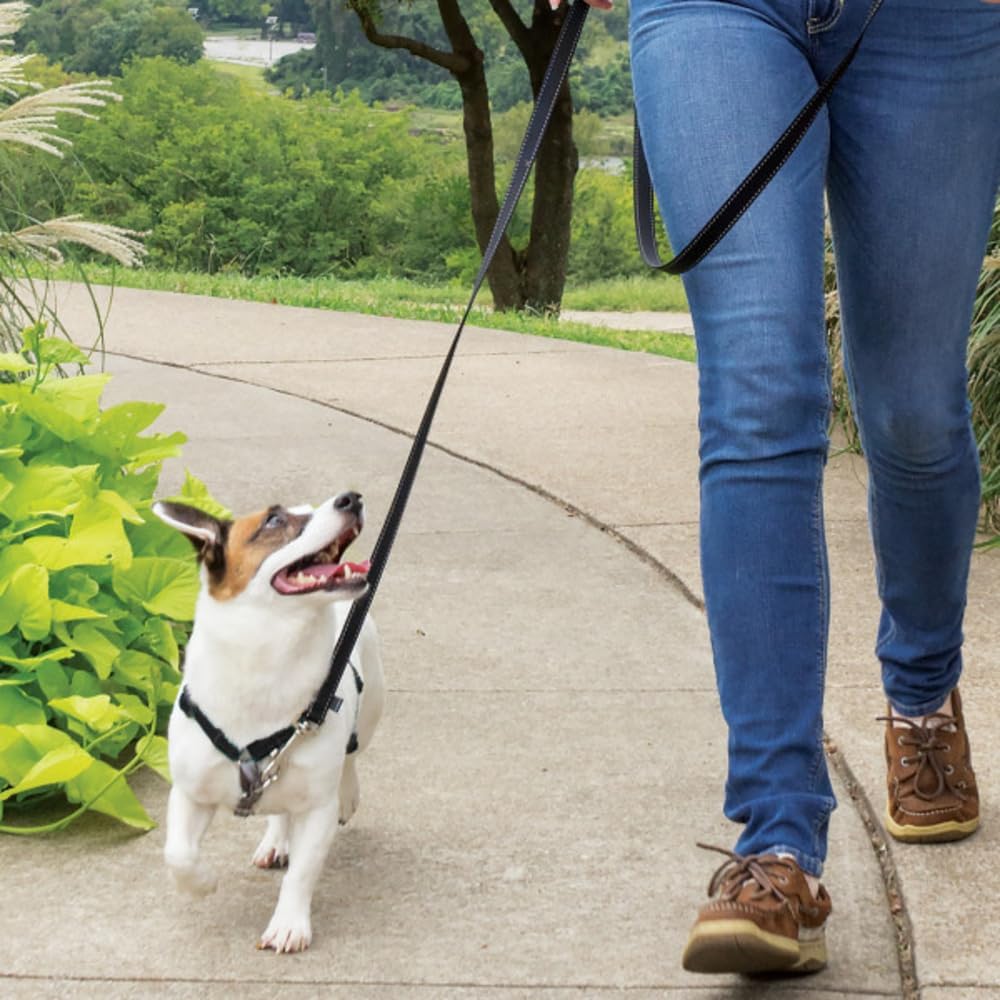 PetSafe 3-in-1 Geschirr, Hundegeschirr mit Rückhaltegurt, Reduziert Ziehen und Druck auf die Kehle,