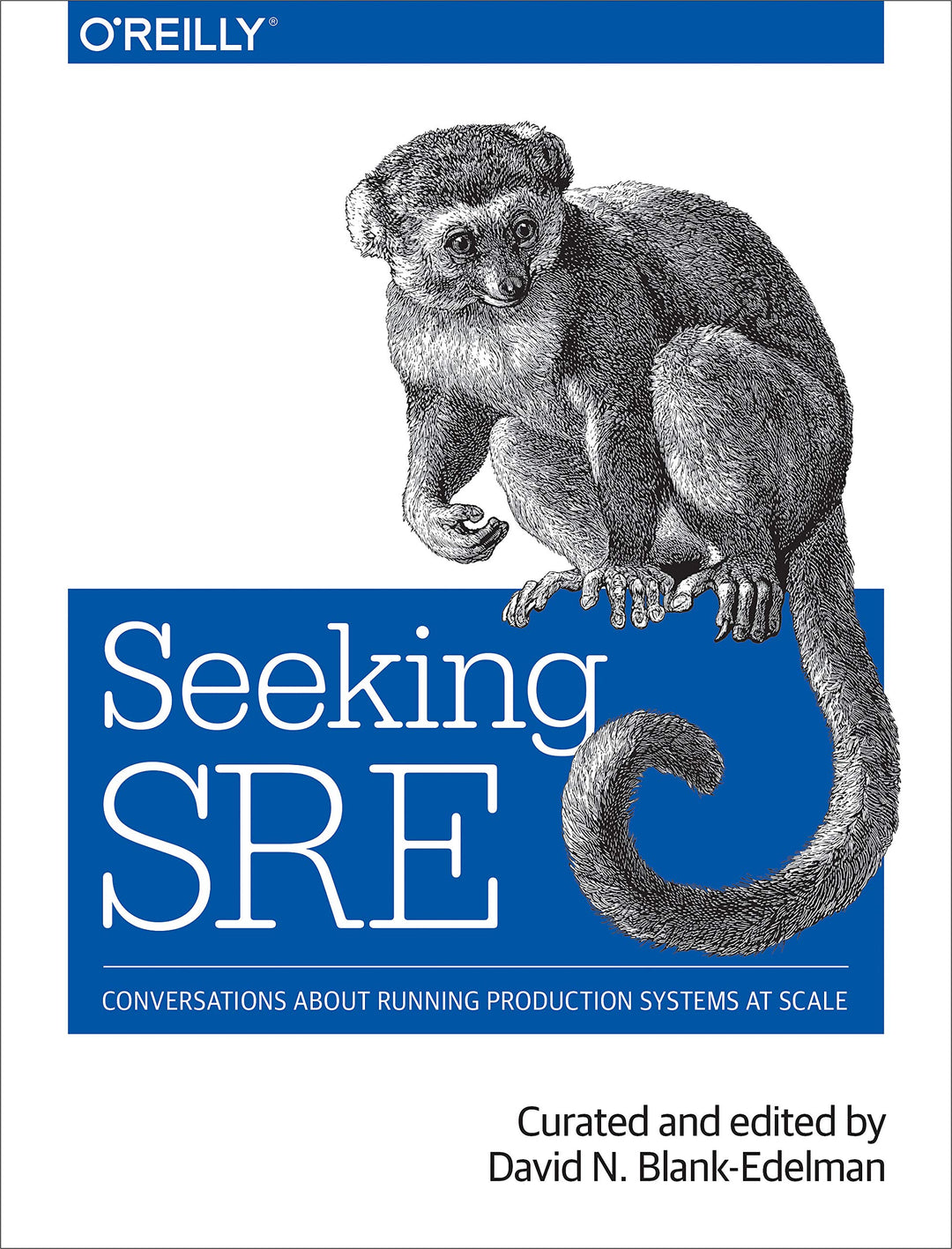 Seeking SRE: Conversations about Running Production Systems at Scale, Taschenbuch