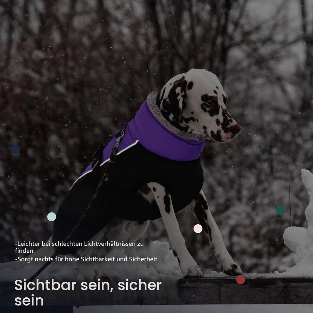 IECOii Hundemantel Winter,Warme Fleece Rollkragen Hundejacke,Wasserdicht Winterjacken Wintermäntel f