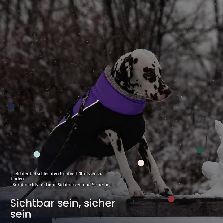 IECOii Hundemantel Winter,Warme Fleece Rollkragen Hundejacke,Wasserdicht Winterjacken Wintermäntel f