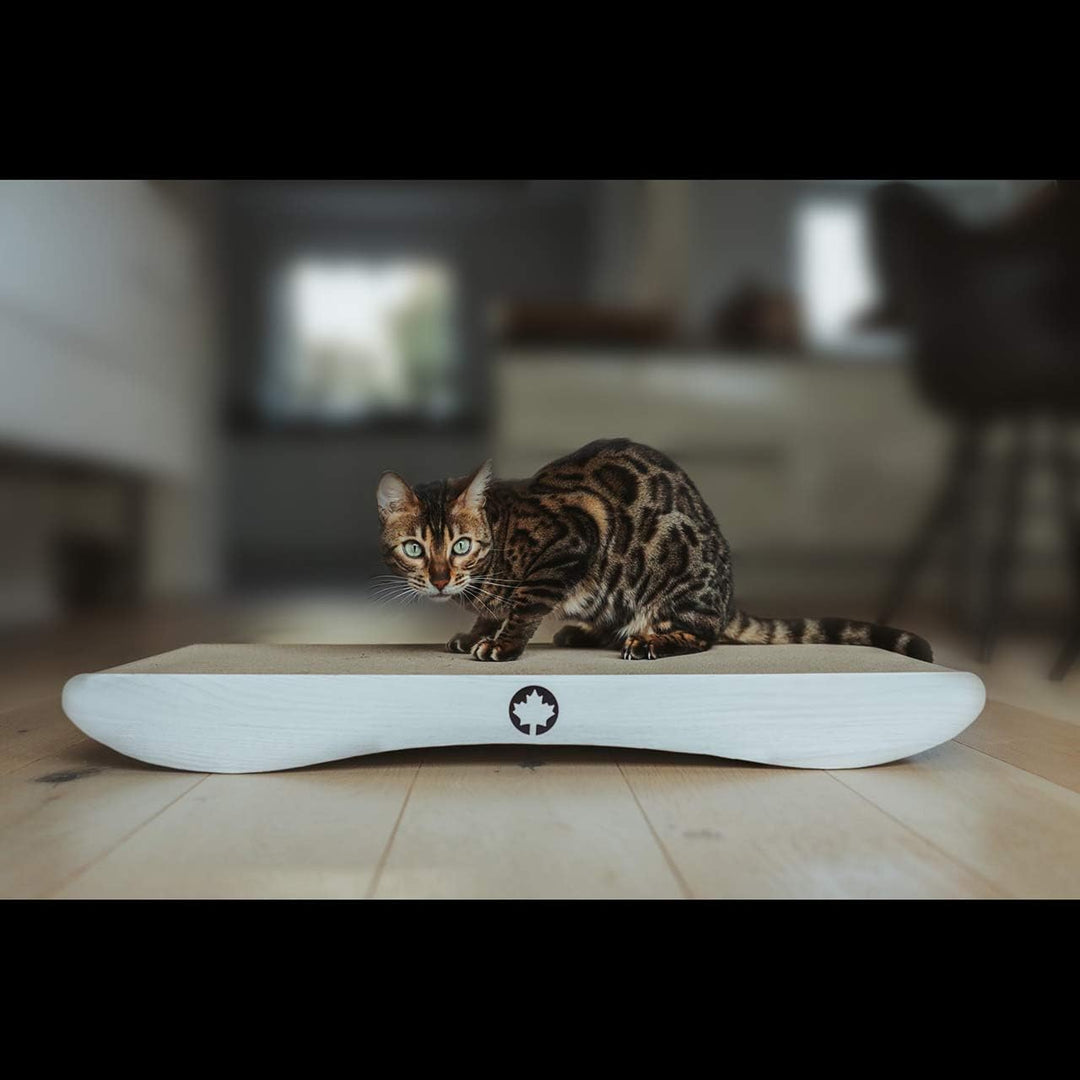 CanadianCat Company | Kratzkarton Comet L | 60 x 29 x 7 cm | Kratzmöbel, Kratzbrett | XL Qualitäts-P