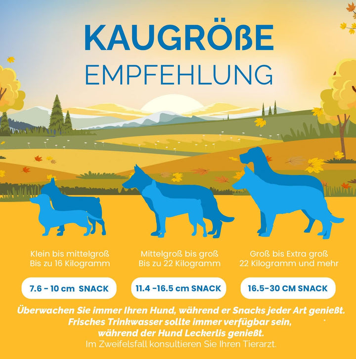 123 Treats Whole Pig Ear Dog Chews Pig Ear Dog Treats (100 Pieces) 100 stück (1er Pack), 100 stü