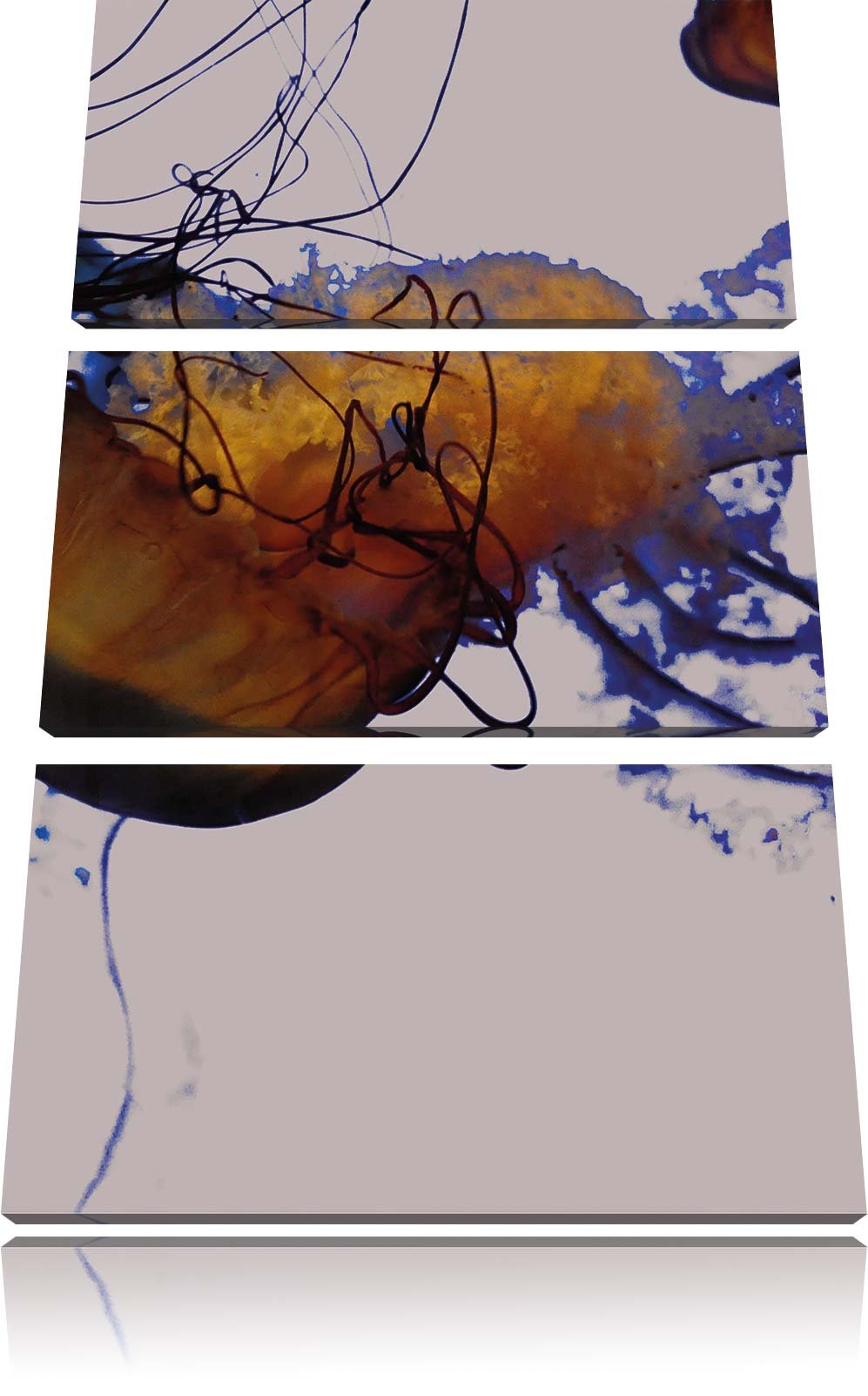 Pixxprint anmutige Qualle im Wasser als Leinwandbild/Grösse: 3 Teilig (120x80) cm/Wandbild/Kunstdruc