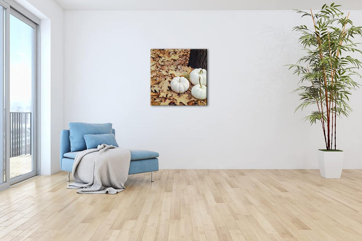 frische Kürbise Format: 70x70 als Leinwandbild, Motiv fertig gerahmt auf Echtholzrahmen, Hochwertige