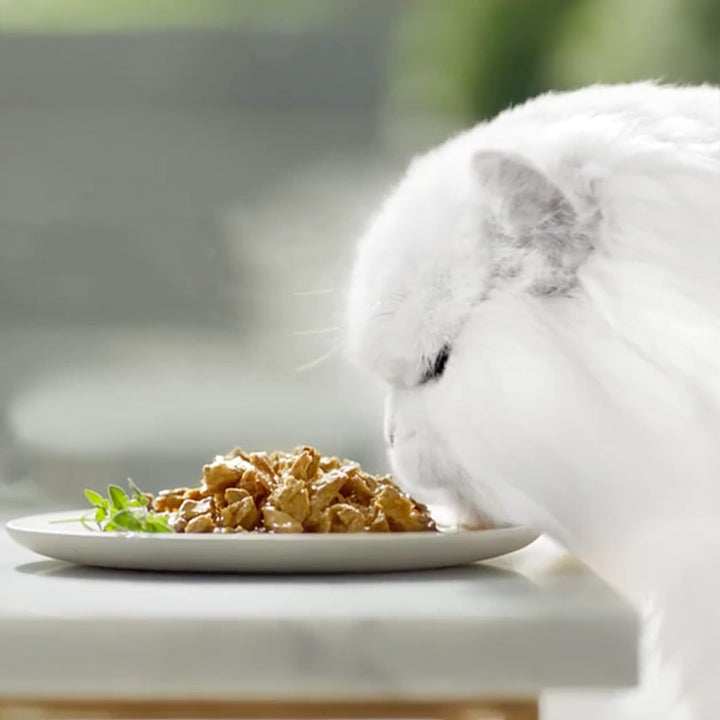 PURINA Gourmet Perle Genuss in Gelee Katzenfutter nass mit Lachs &amp; feiner Grillachsnote 26er Pack (2