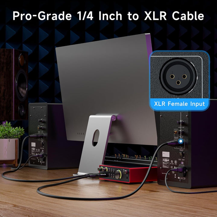 Cable Matters 6,35 mm (1/4 Zoll) TRS auf XLR Kabel 3 m - Stecker auf Stecker 10 ft, 10 ft