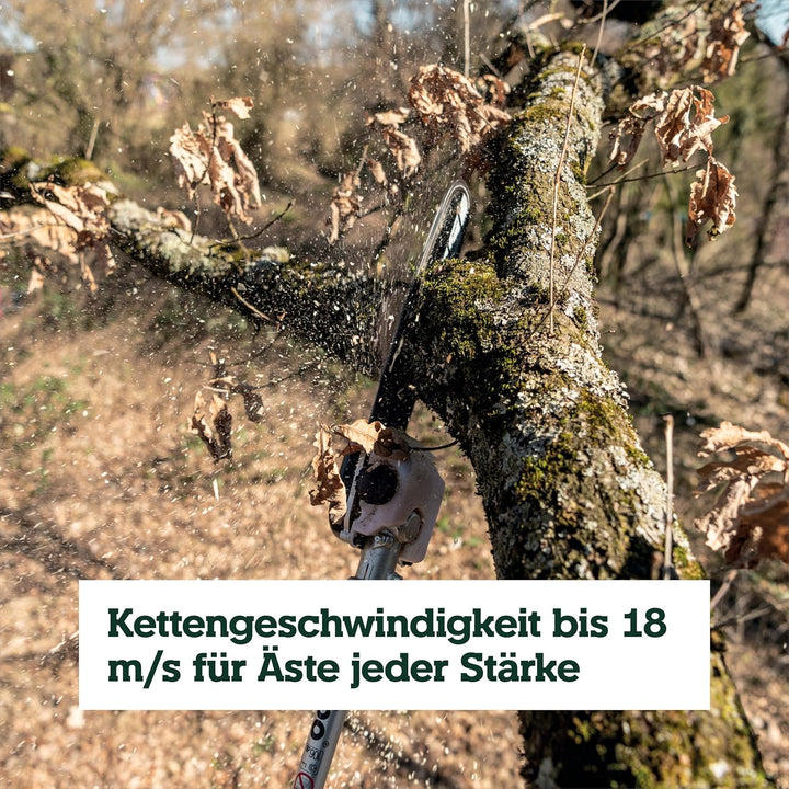 MA-MS 25 * Hochentaster-Aufsatz TV00